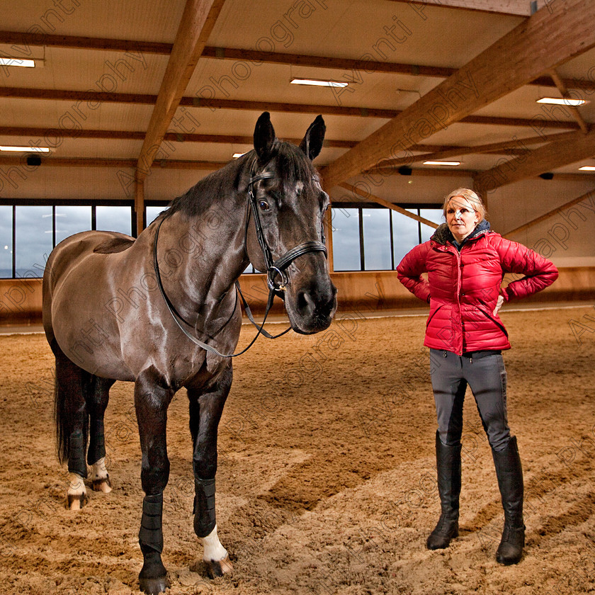 Avanti-Photography-101
collection: White Hill Stud
description: Horse photography at the splendid White Hill Stud farm .